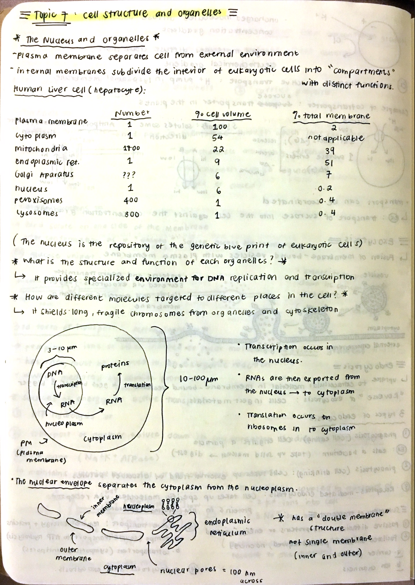 PHYS 2001 - Class Notes