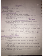 PLSC 2003 - Class Notes - Week 5