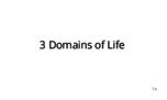 List the 3 domains of life.