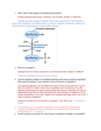 Which amino acid residues do kinases phosphorylate?