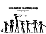 Name the subfield of anthropology.