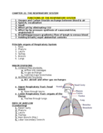 List the principle organs of respiratory system.