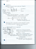 BIO 2103 - Class Notes - Week 12