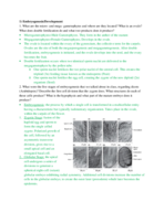 BIOL 525 - Study Guide - Midterm