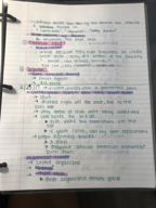 AMH 2097 - Class Notes - Week 7