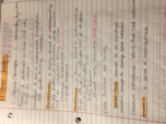 SOC 101 - Class Notes - Week 1