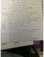POLS 207 - Class Notes - Week 2