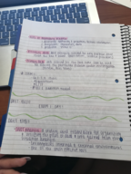 MKTG 451 - Class Notes - Week 4