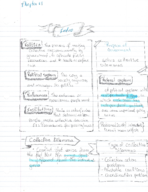 POLS 2311 - Class Notes - Week 1