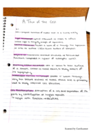 BIO 101 - Class Notes - Week 5