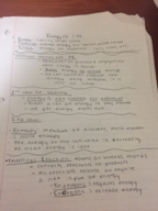 Texas State - BIO 1320 - Class Notes - Week 5