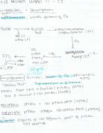 CHEM 4600 - Class Notes - Week 5