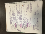 PSYC 224 - Class Notes - Week 10
