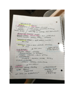 BIOL 01 - Class Notes - Week 2