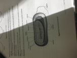Midlands Technical College - BIOL 101 - Study Guide - Mid...