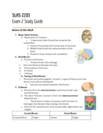 SLHS 2203 - Study Guide