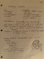 Texas State - BIO 2430 - Class Notes - Week 13