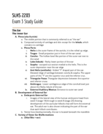 SLHS 2203 - Study Guide