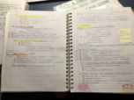 PSYC 1002 - Class Notes - Week 4