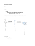 What refers to the sequences of DNA that encodes a functional product?