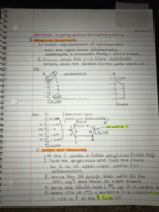 CHEM 1211 - Class Notes - Week 7
