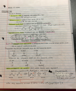 Chem  107 - Class Notes - Week 14