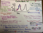 bio 431 - Class Notes - Week 2