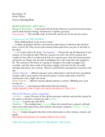 PSYC 101 - Class Notes - Week 2