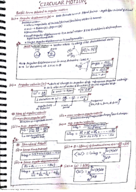 CPP - PHYS 303 - Study Guide - Midterm