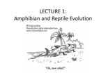 When did amphibians first appear?