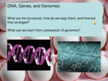 What is the difference bewteen DNA and RNA?