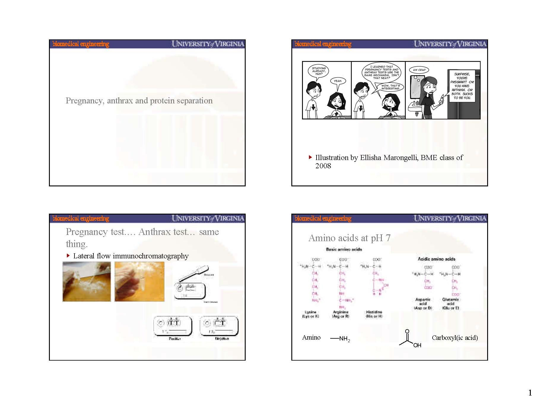 Cell and Molecular For Engineers