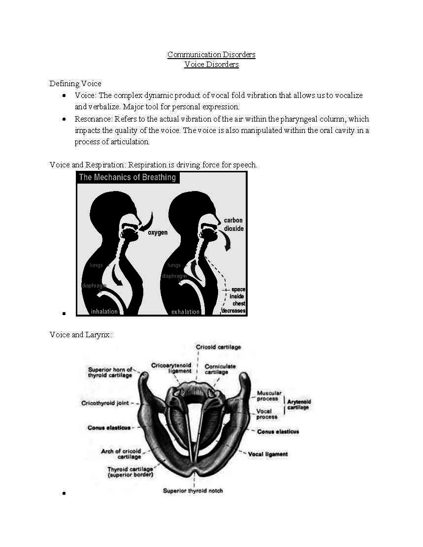 Introduction to Communication Disorders