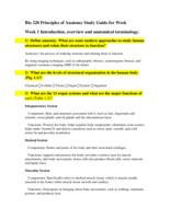 Human Anatomy Week 1