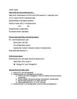 Week 9 Notes