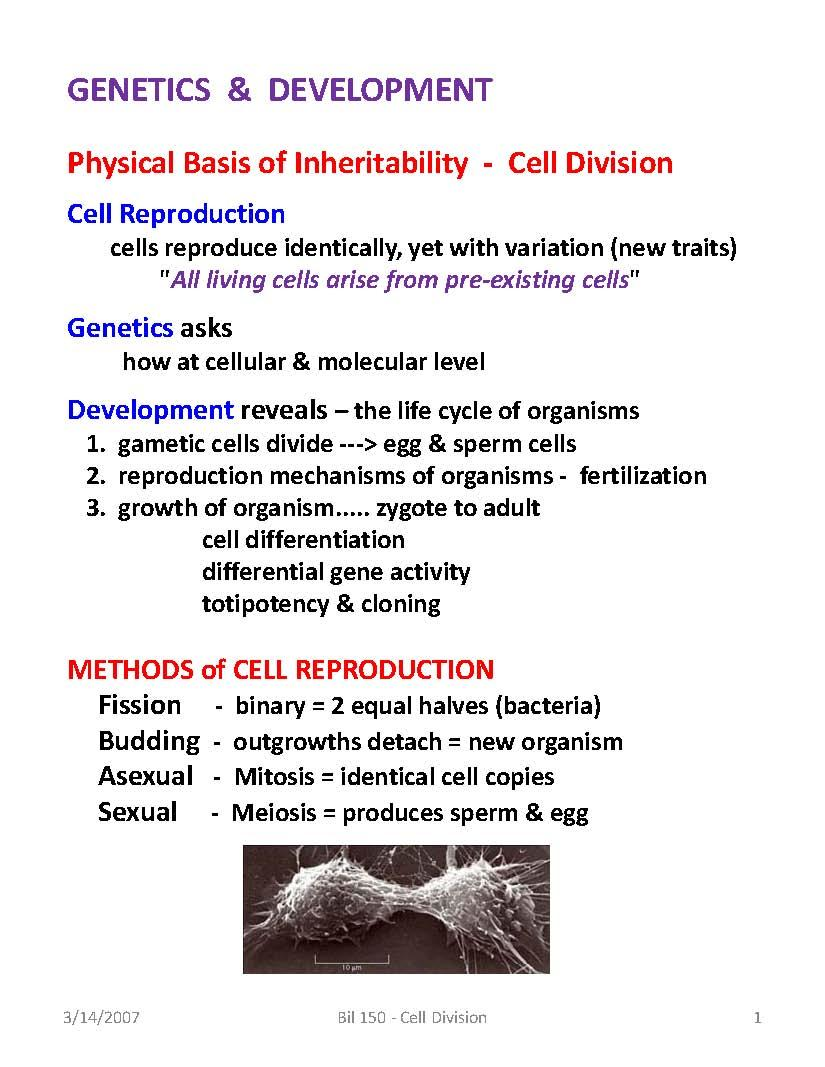 General Biology
