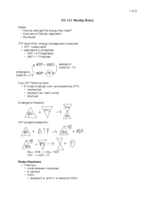 BS 161 Weekly Notes: Intro to Cellular Respiration