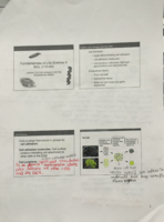 Lecture 14) Cell Adhesion and Extracellular Matrix