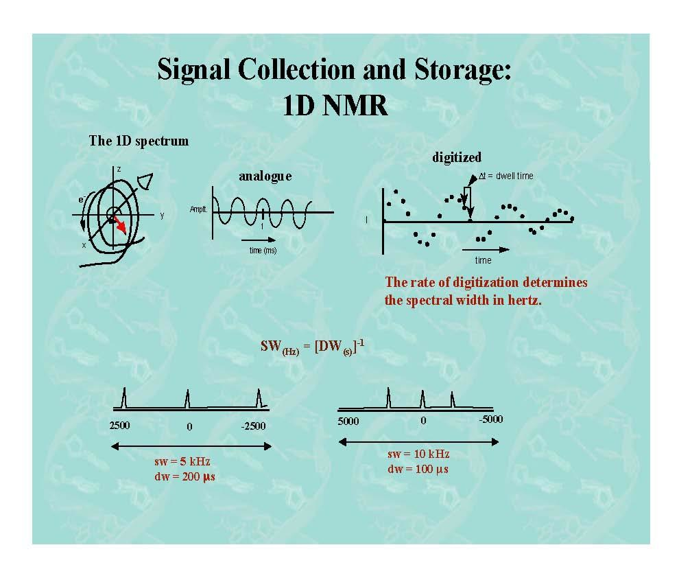 MOLECULAR BIOPHYSICS I