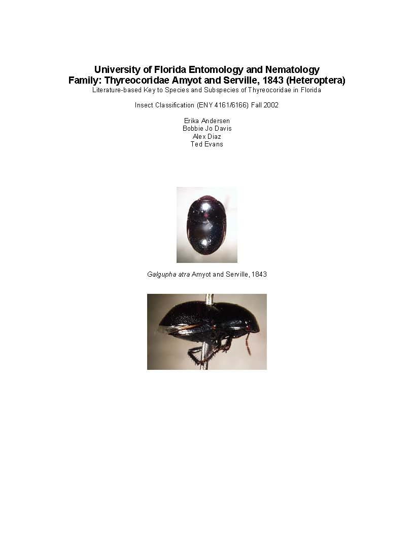 INSECT CLASSIFICATION