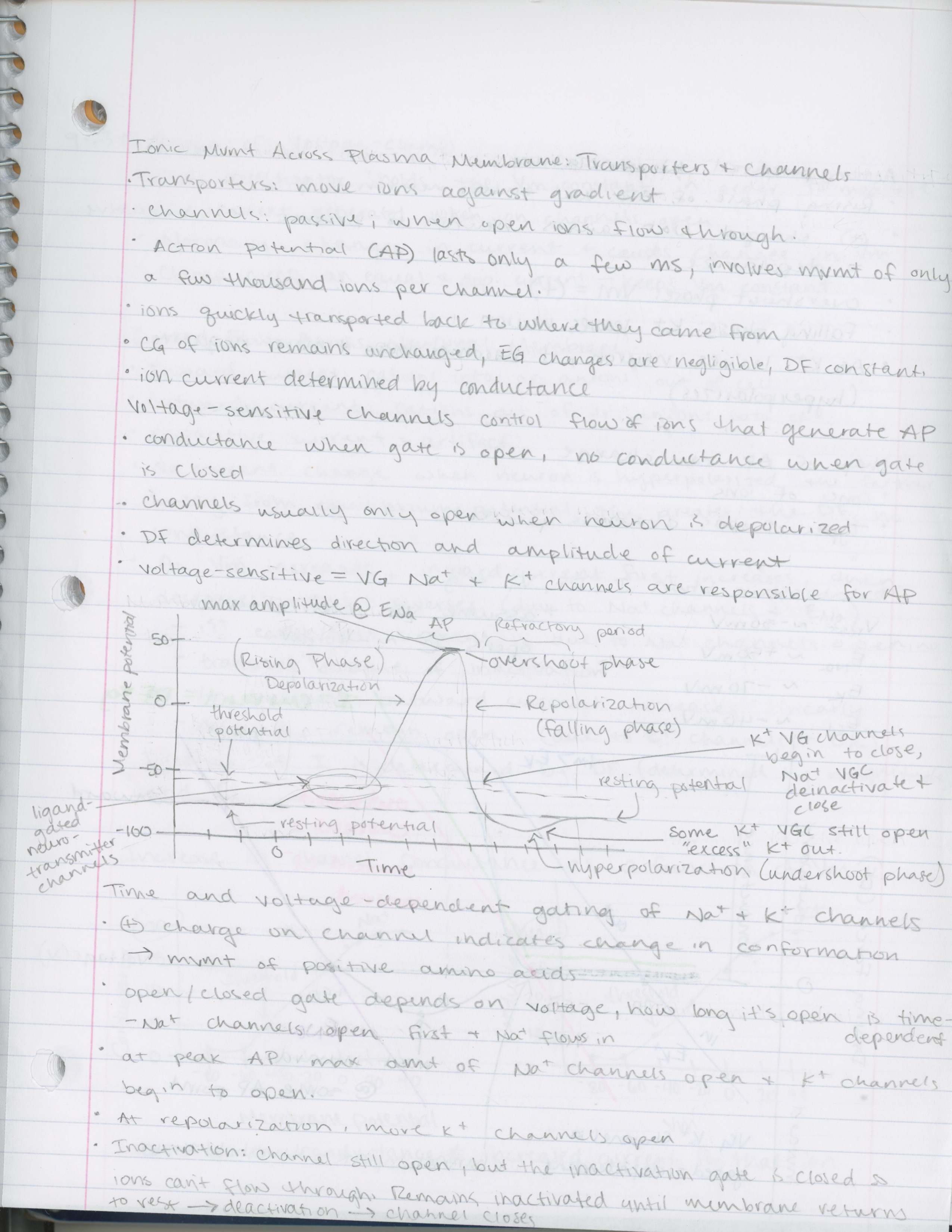 Week 3 Notes for Neurobiology 1