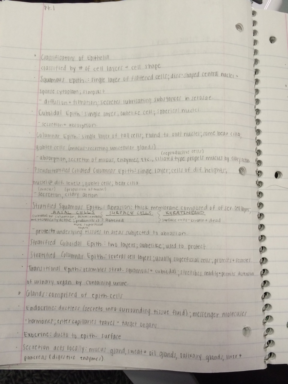 EXSC 292 - Section 1 (Winfrey-Kovell)