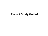 Exam 2 Study Guide