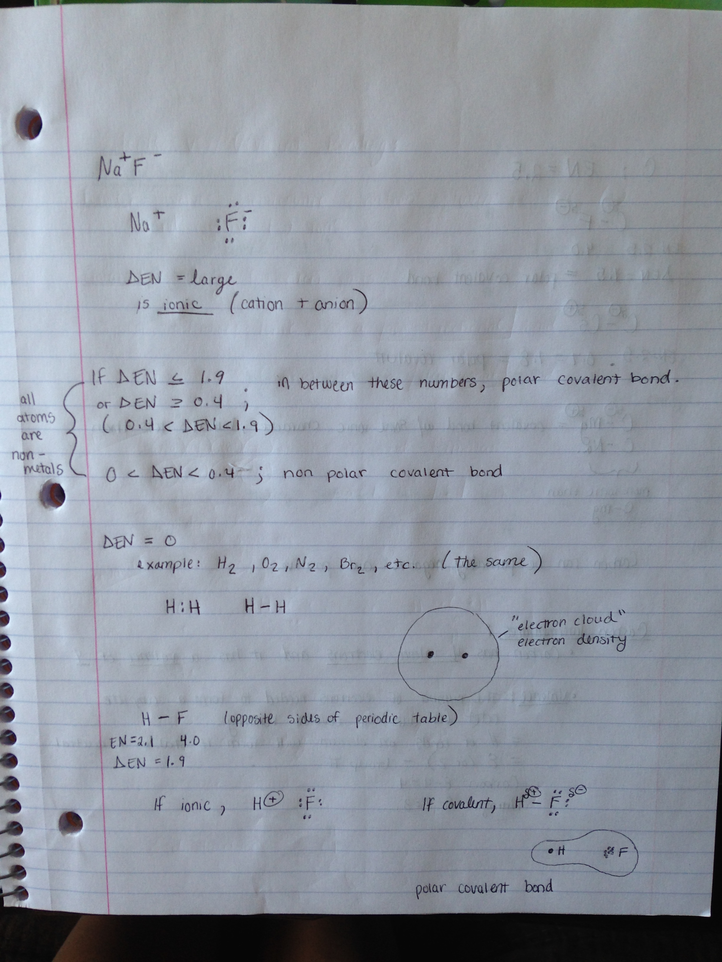 Week 2 Organic Chemistry Notes