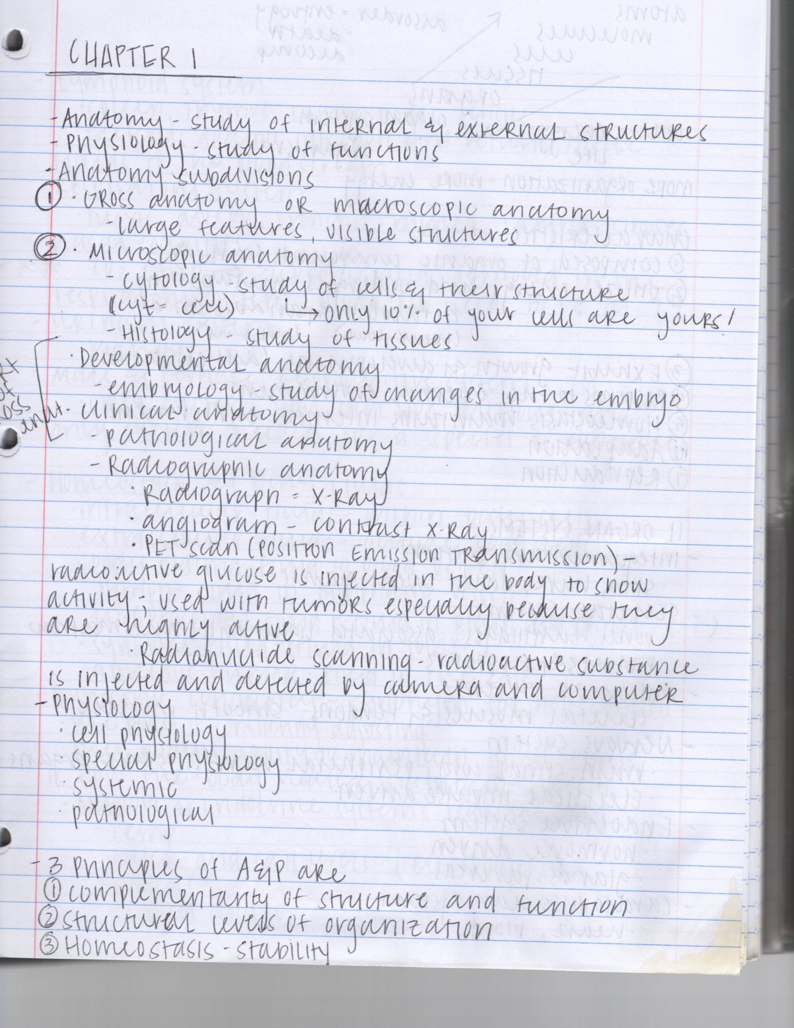 Week One Lecture Notes- Anatomy and Physiology