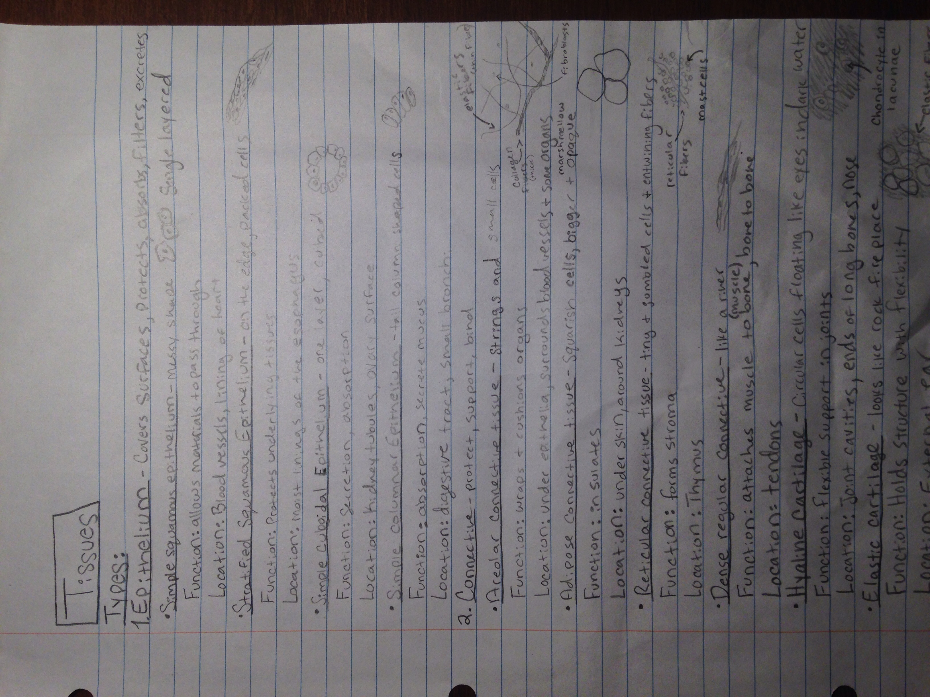 Week 2 study notes