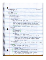 History of NC (HI 364), Week 2 Notes