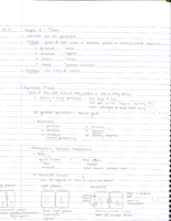 NotesSample-MatthewZemel.pdf