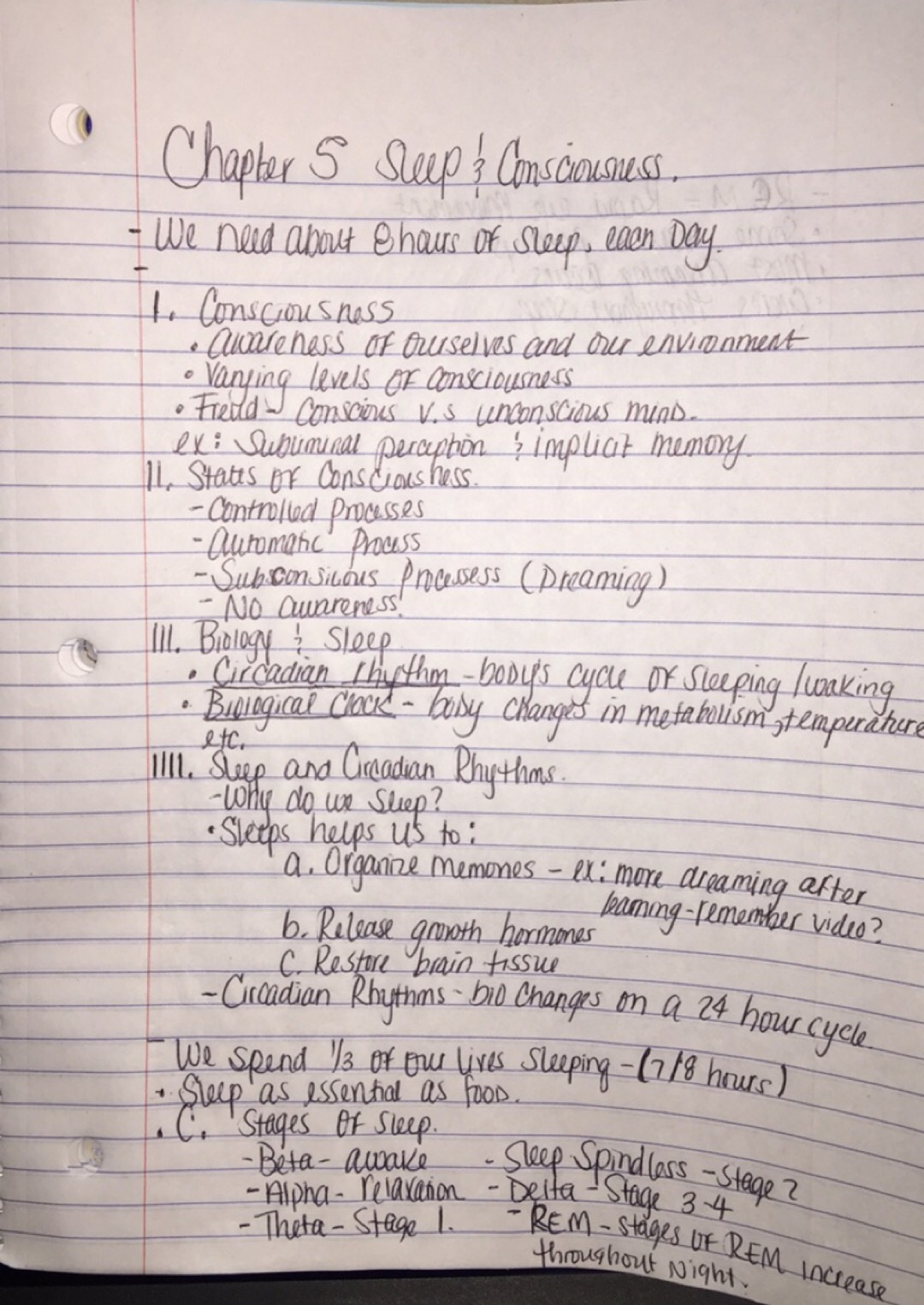 Sleep & Consciousness