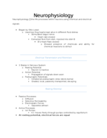 Neurophysiology